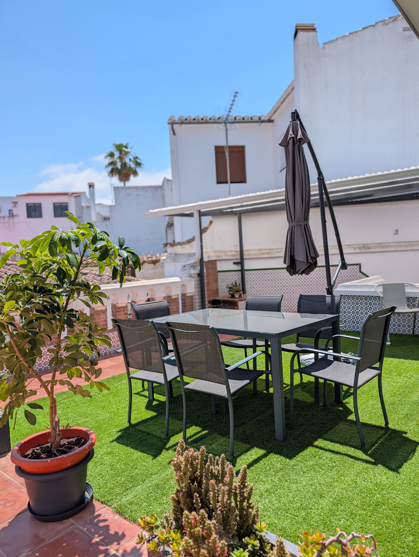 Terraza
